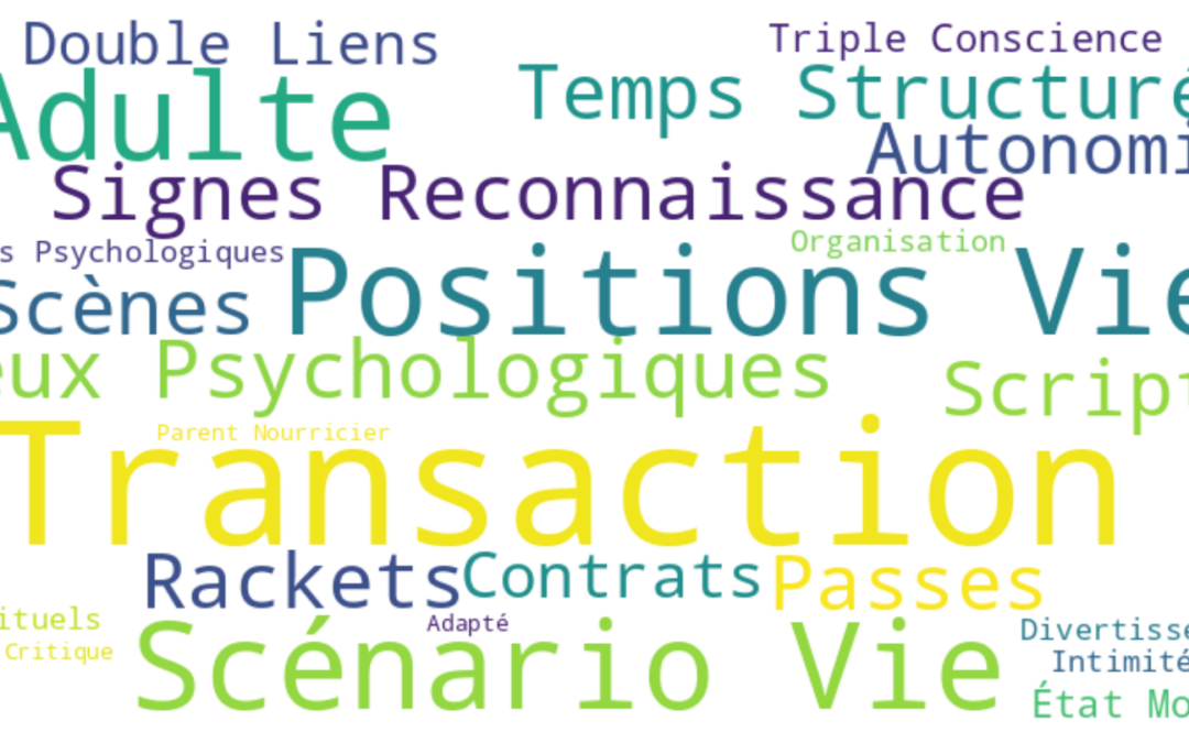 ANALYSE TRANSACTIONNELLE : Optimisez vos interactions d’équipe